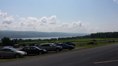 View of Seneca Lake from Glenora Winery- Finger Lakes Region, NY