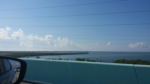 20151029_110821.jpg image